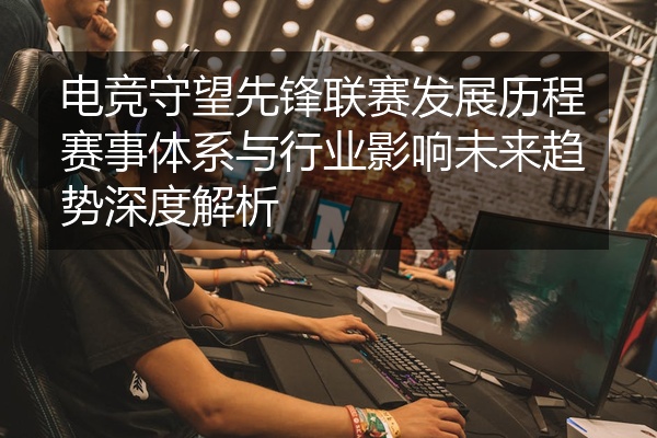 电竞守望先锋联赛发展历程赛事体系与行业影响未来趋势深度解析