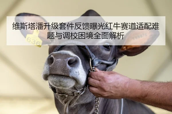 维斯塔潘升级套件反馈曝光红牛赛道适配难题与调校困境全面解析