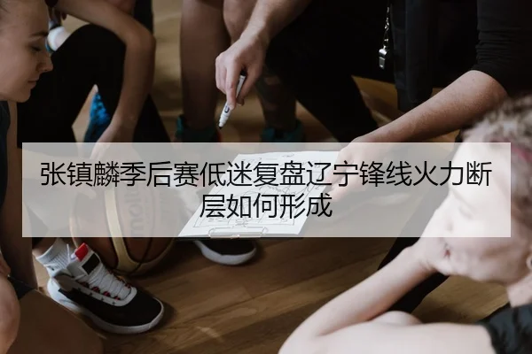 张镇麟季后赛低迷复盘辽宁锋线火力断层如何形成 - AYX app